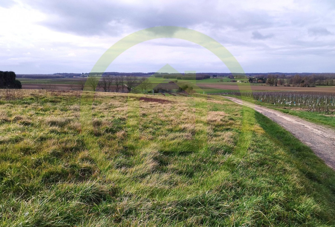 vente Terrain Saint Maigrin - Photo 3