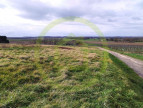 vente Terrain Saint Maigrin