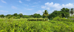 vente Terrain constructible Le Lamentin