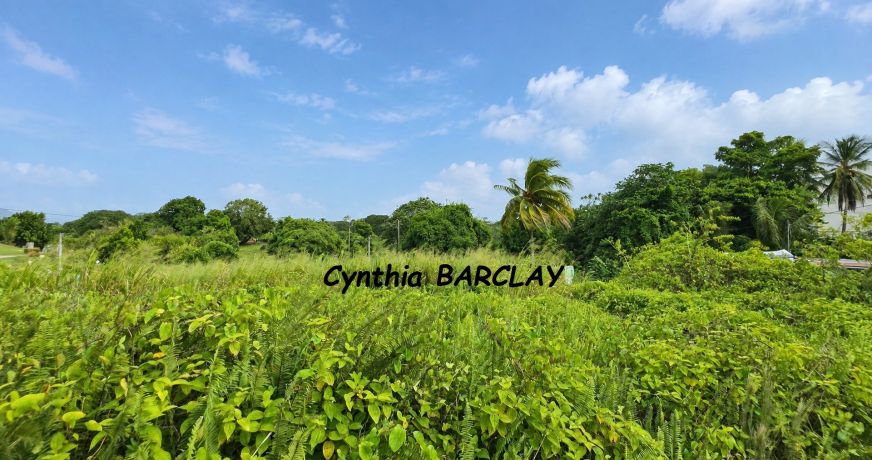 vente Terrain constructible Le Lamentin