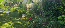 vente Maison Thenay