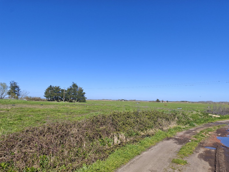 vente Bâtiment Saint Hilaire De Riez - Photo 8