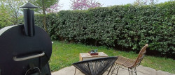 vente Appartement Franconville