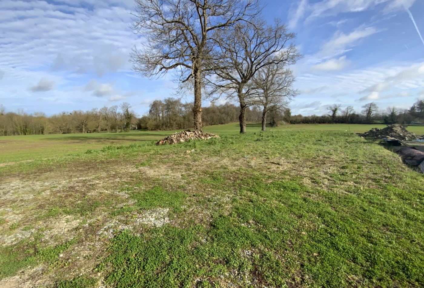 vente Maison Treverien - Photo 10