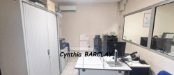 vente Locaux d'activité Riviere Salee