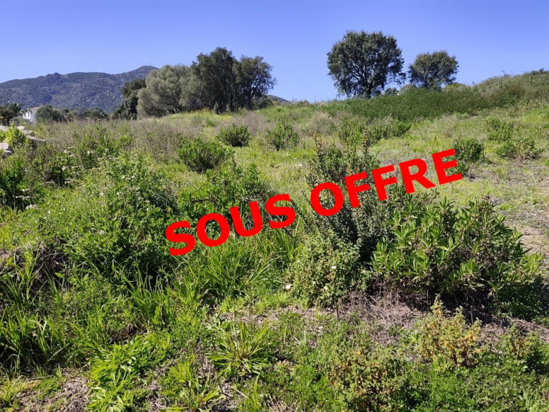 vente Terrain Ajaccio - Photo 1