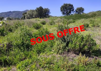 vente Terrain Ajaccio