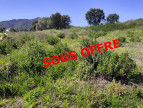 vente Terrain Ajaccio