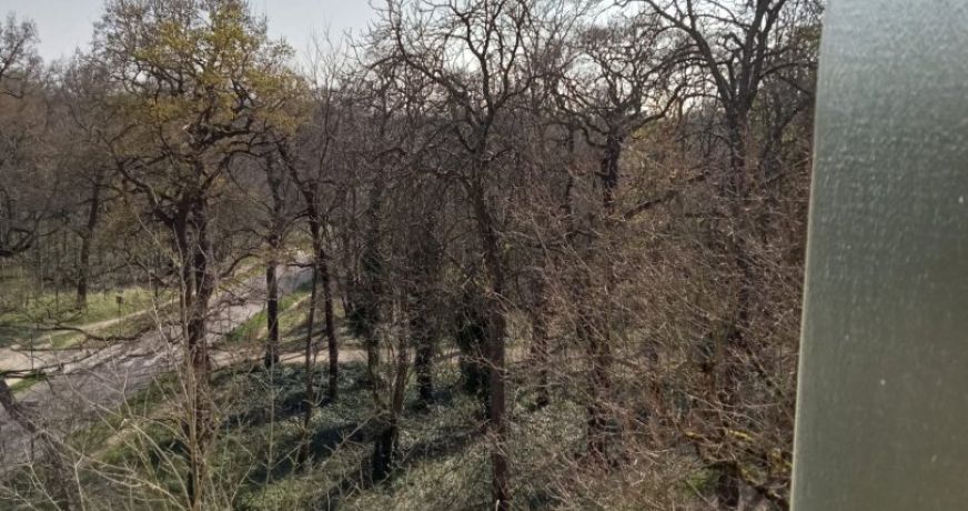 vente Appartement Fontenay Sous Bois