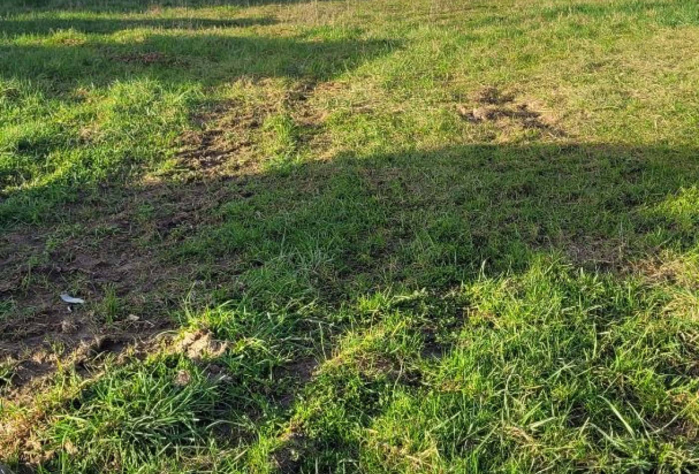 vente Terrain Mortemer - Photo 2