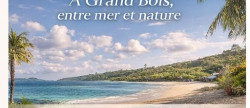 vente Maison Grand Bois