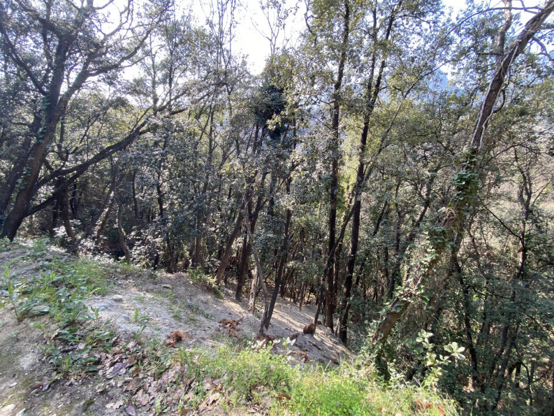 vente Terrain Menton - Photo 1