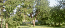 vente Terrain Esmans