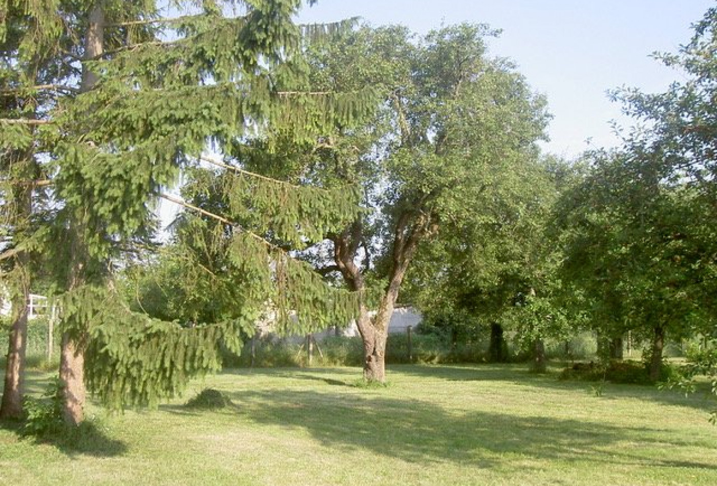 vente Terrain Esmans - Photo 2