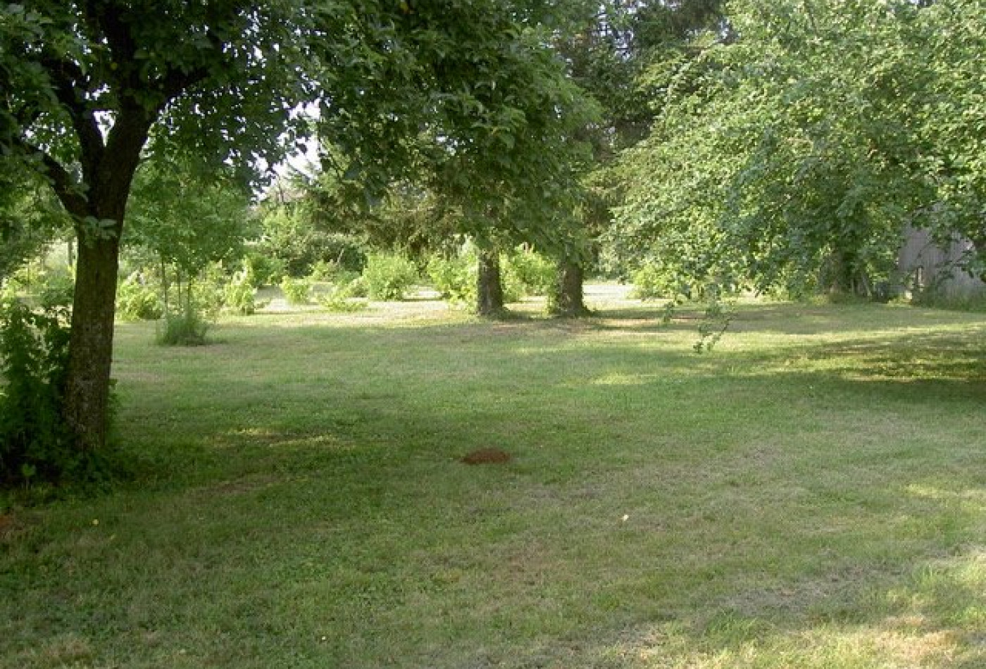 vente Terrain Esmans - Photo 3