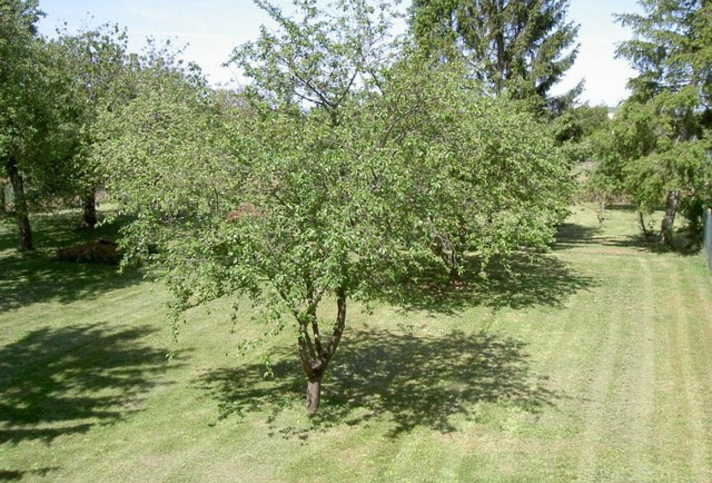 vente Terrain Esmans - Photo 1