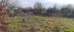 vente Maison Saint Melaine Sur Aubance
