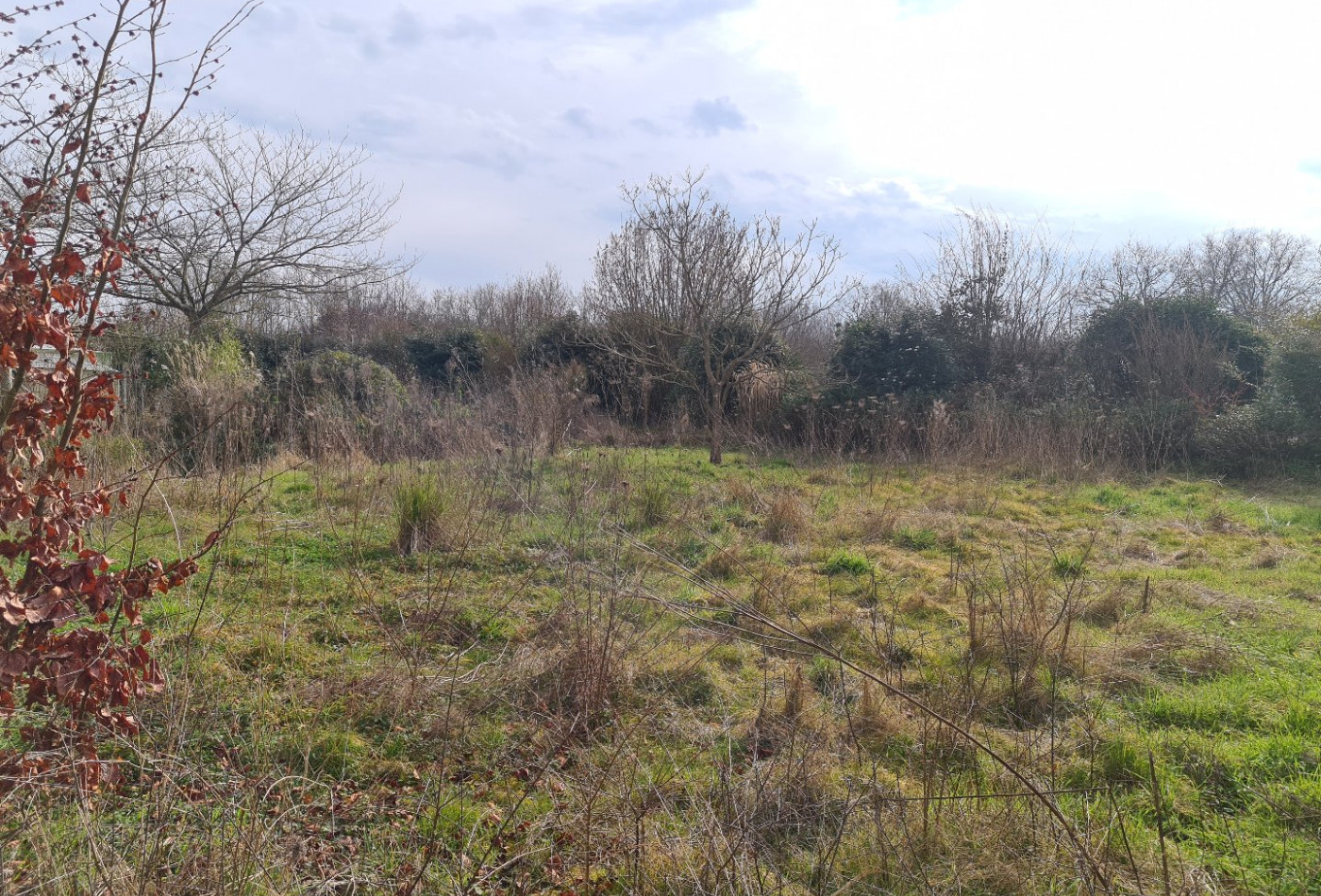 vente Maison Saint Melaine Sur Aubance - Photo 2