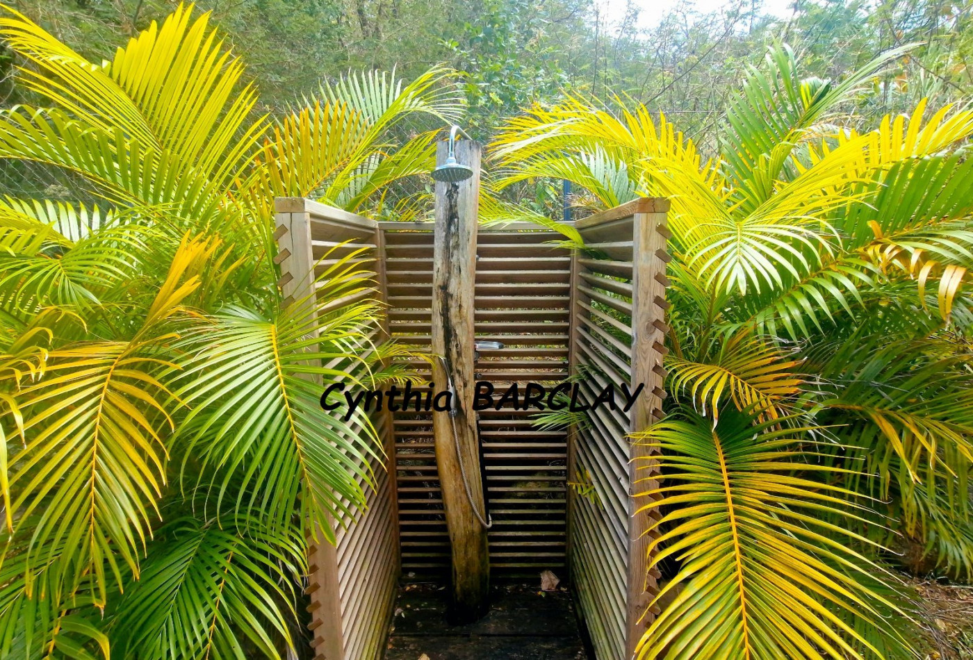 vente Maison Le Marin - Photo 8