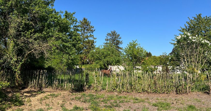 vente Maison de campagne Mont Saint Eloi