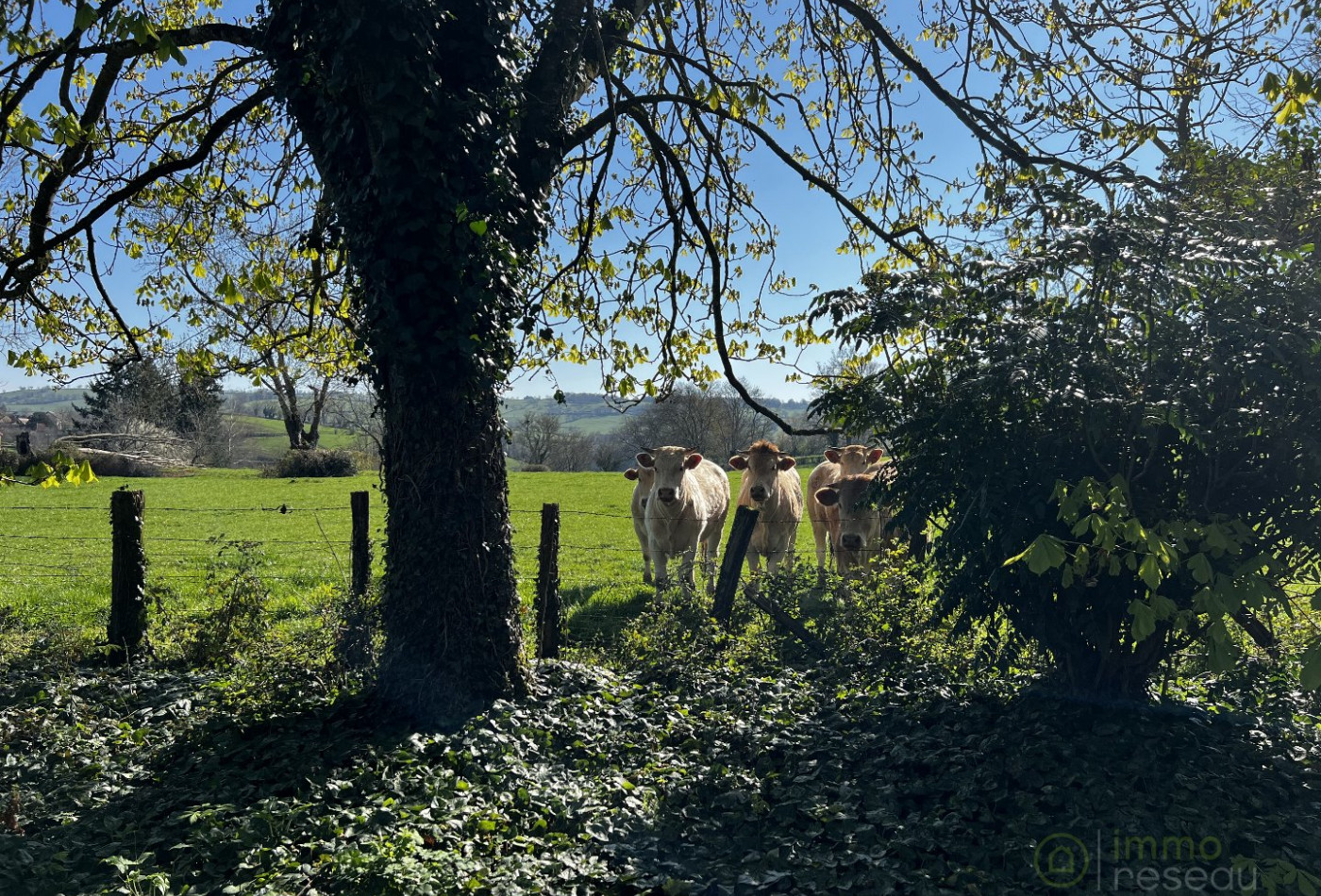 vente Maison à rénover Briant - Photo 4