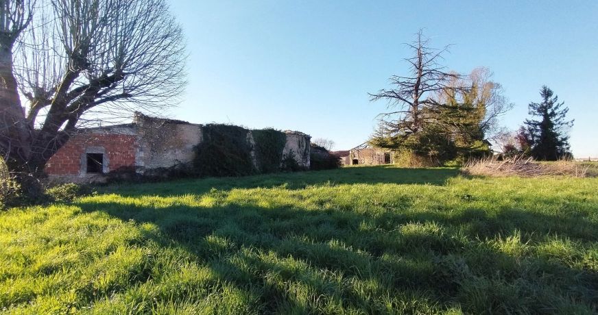 vente Terrain Saint Maigrin