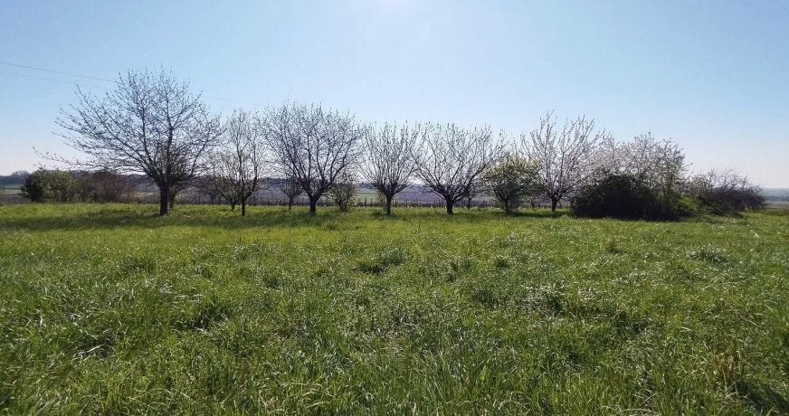 vente Terrain Saint Maigrin