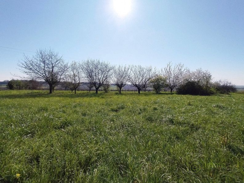 vente Terrain Saint Maigrin - Photo 2