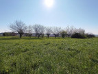 vente Terrain Saint Maigrin