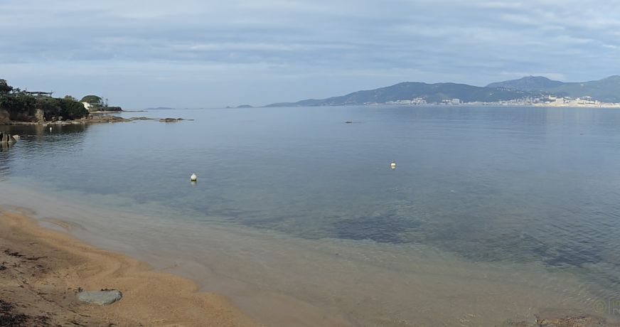 vente Appartement Grosseto Prugna