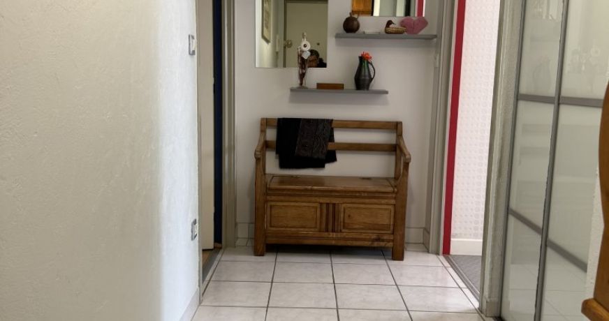vente Appartement La Chapelle Saint Mesmin