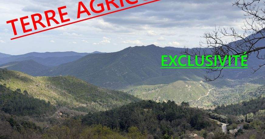 vente Terrain agricole Venaco