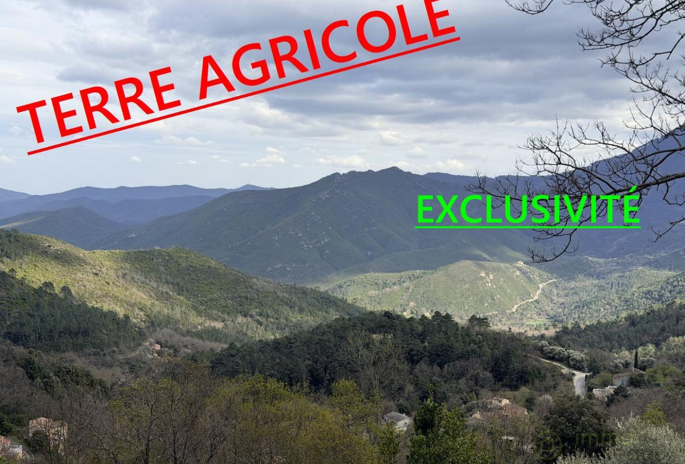 vente Terrain agricole Venaco - Photo 1