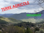 vente Terrain agricole Venaco