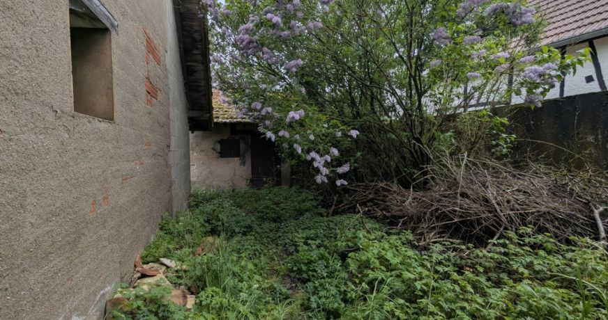 vente Maison et dépendances Verdun Sur Le Doubs