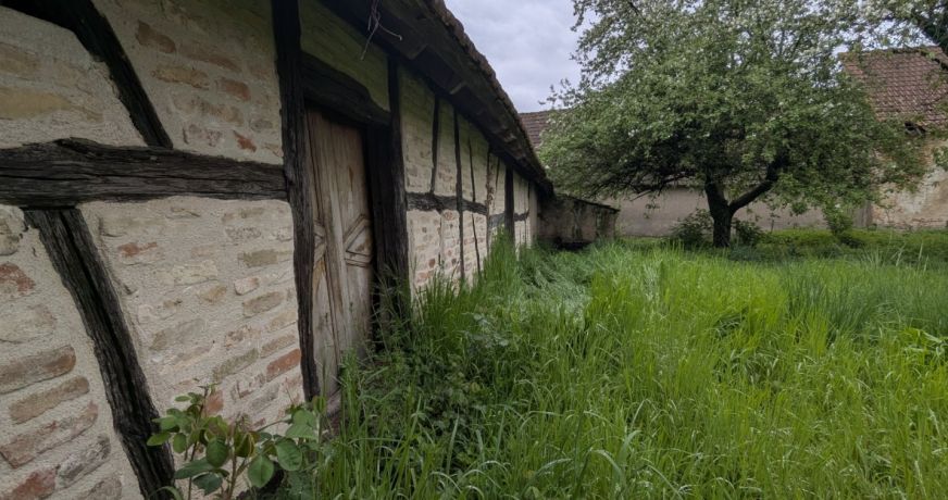 vente Maison et dépendances Verdun Sur Le Doubs