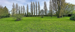 vente Terrain Allaire