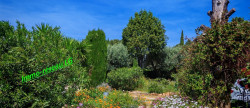 vente Maison Le Castellet