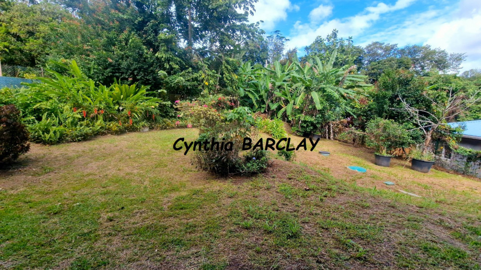 vente Maison de campagne Le Lamentin - Photo 3