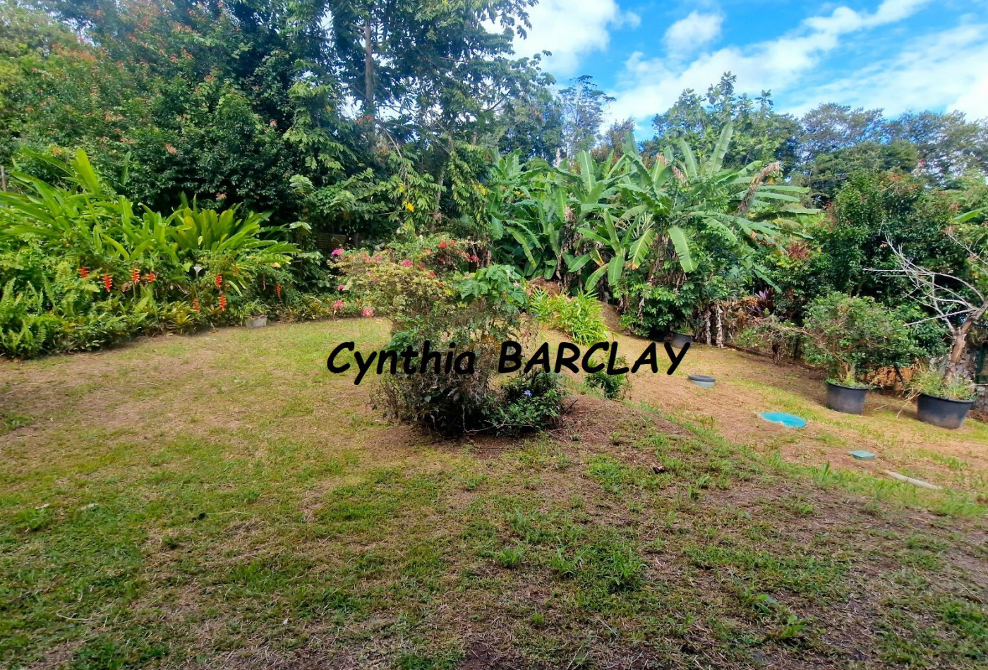 vente Maison de campagne Le Lamentin - Photo 3