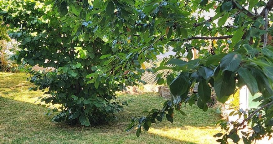 vente Maison Annemasse