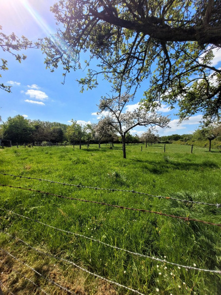 vente Maison Argences - Photo 3