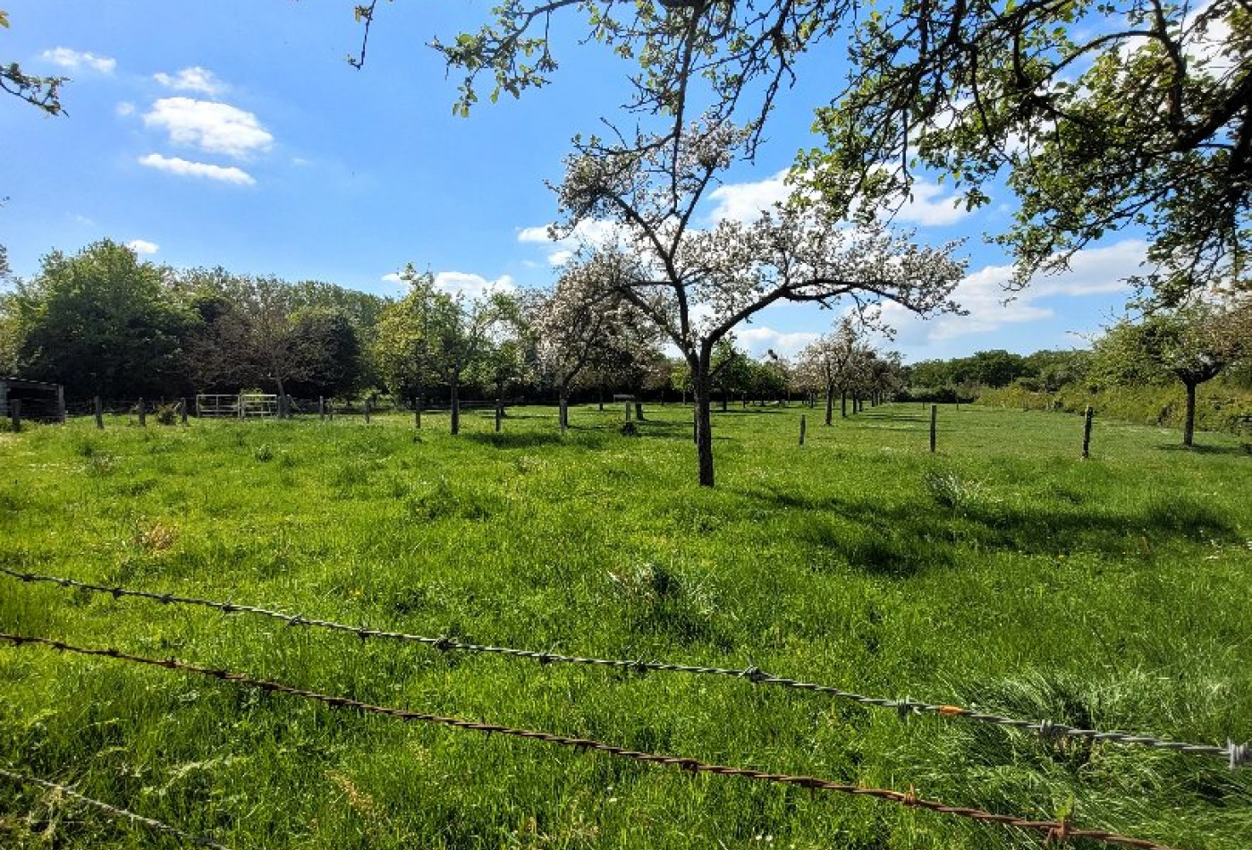 vente Maison Argences - Photo 3