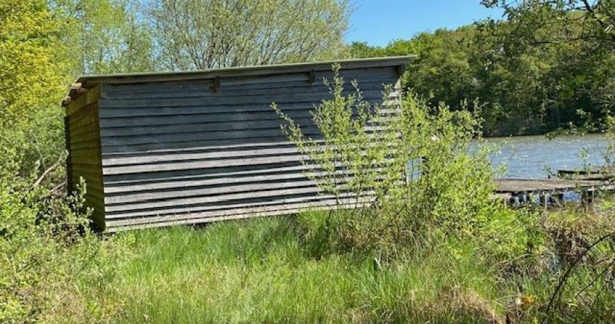 vente Terrain boisé – forêt Saint Hilaire Les Andresis