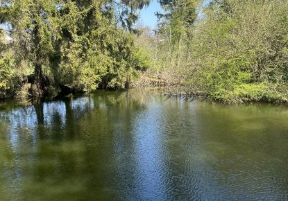 vente Terrain Moreuil