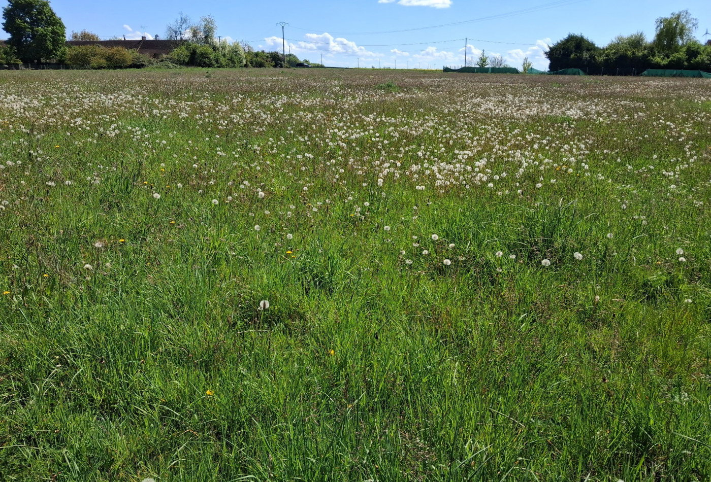 vente Terrain Chantecoq - Photo 1