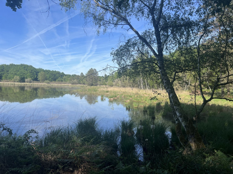 vente Etang Prissac - Photo 2