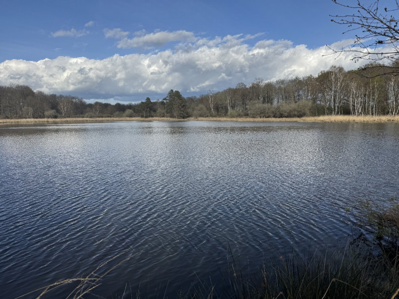 vente Etang Prissac - Photo 9