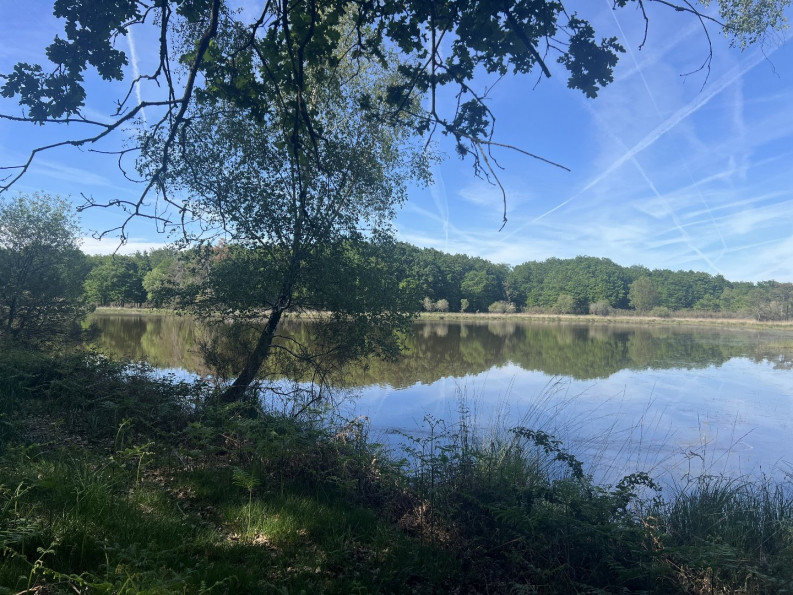 vente Etang Prissac - Photo 3