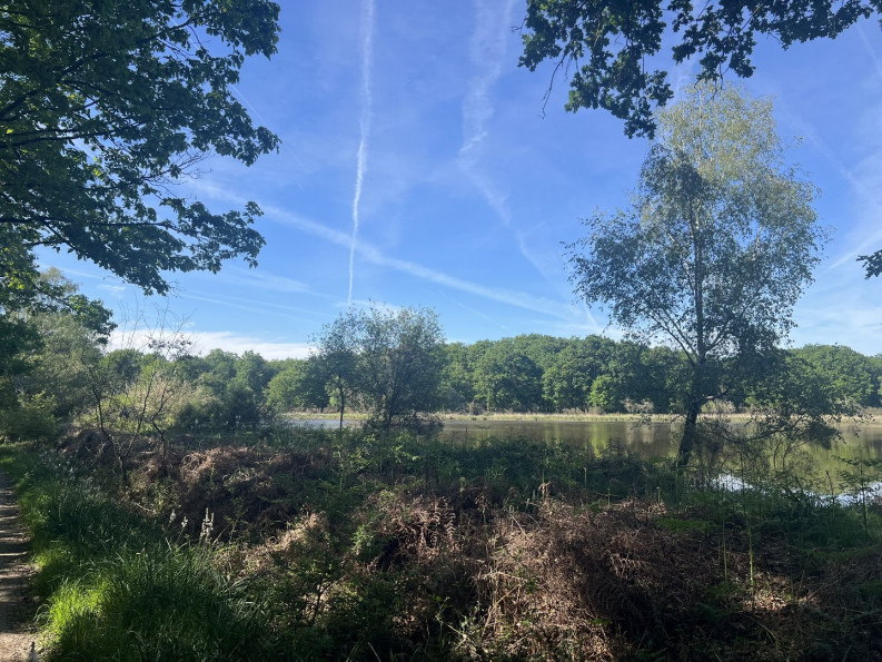 vente Etang Prissac - Photo 5